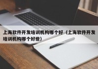 上海软件开发培训机构哪个好（上海软件开发培训机构哪个好些）