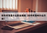 软件开发是什么职业类别（软件开发叫什么行业）