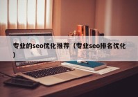 专业的seo优化推荐（专业seo排名优化）