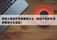 微信小程序开发需要用什么（微信小程序开发需要用什么语言）