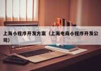 上海小程序开发方案（上海电商小程序开发公司）