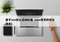 属于seo优化范畴的是（seo常见的优化技术）