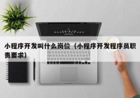 小程序开发叫什么岗位（小程序开发程序员职责要求）